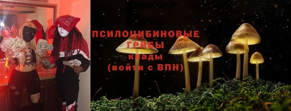 spice Мегион