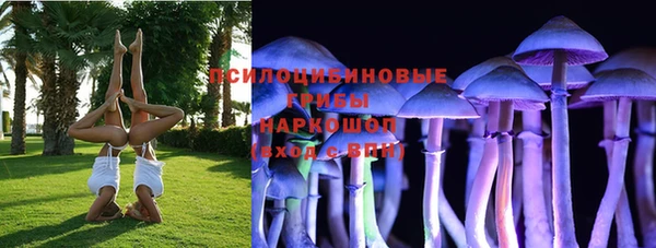 spice Мегион