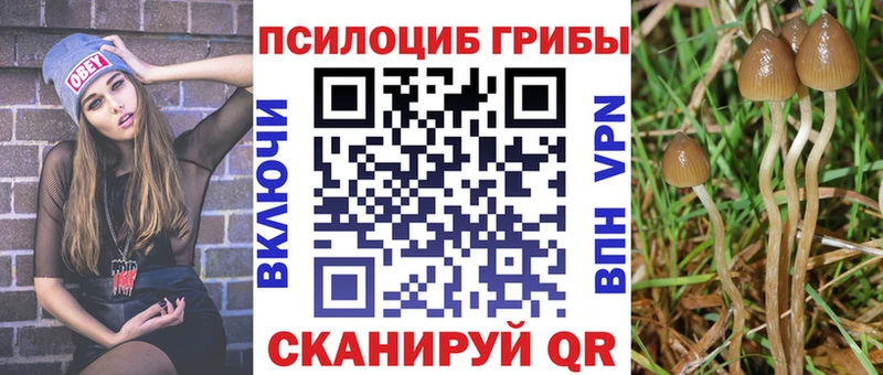 Купить  Апатиты  Галлюциногенные грибы Psilocybe 